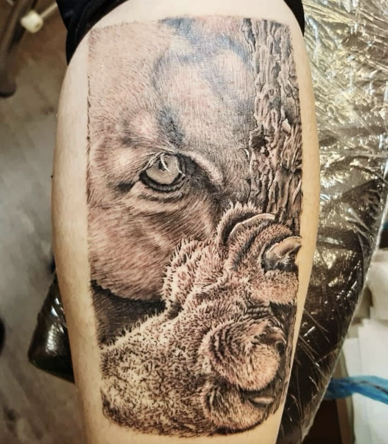 Black and grey puma tattoo on a leg