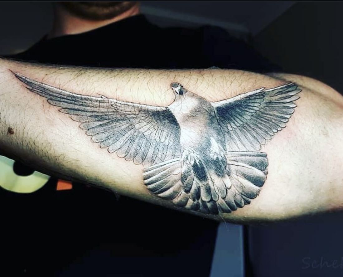 Tattoo: Black & grey — Dove in flight