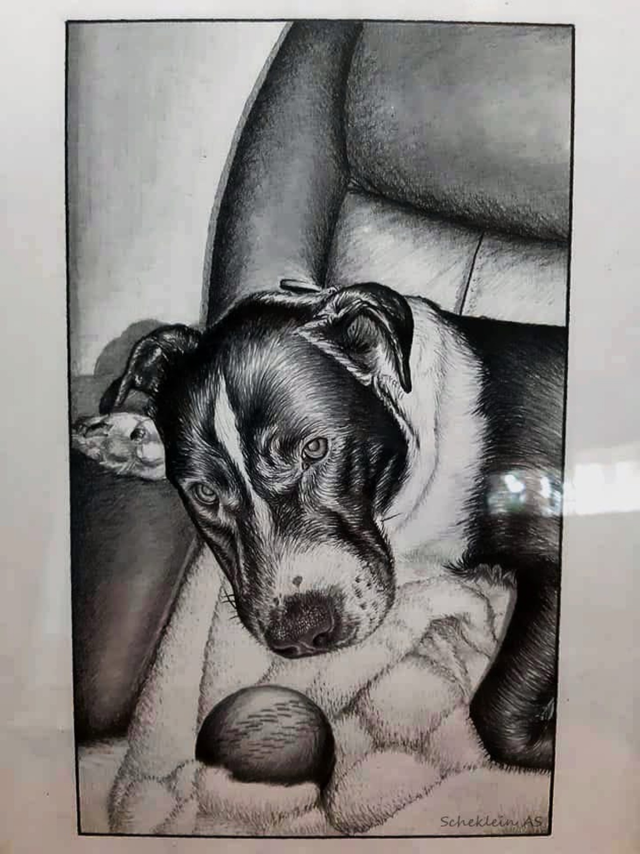 Pencil drawing of a dog with a ball, signed Scheklein A.S.